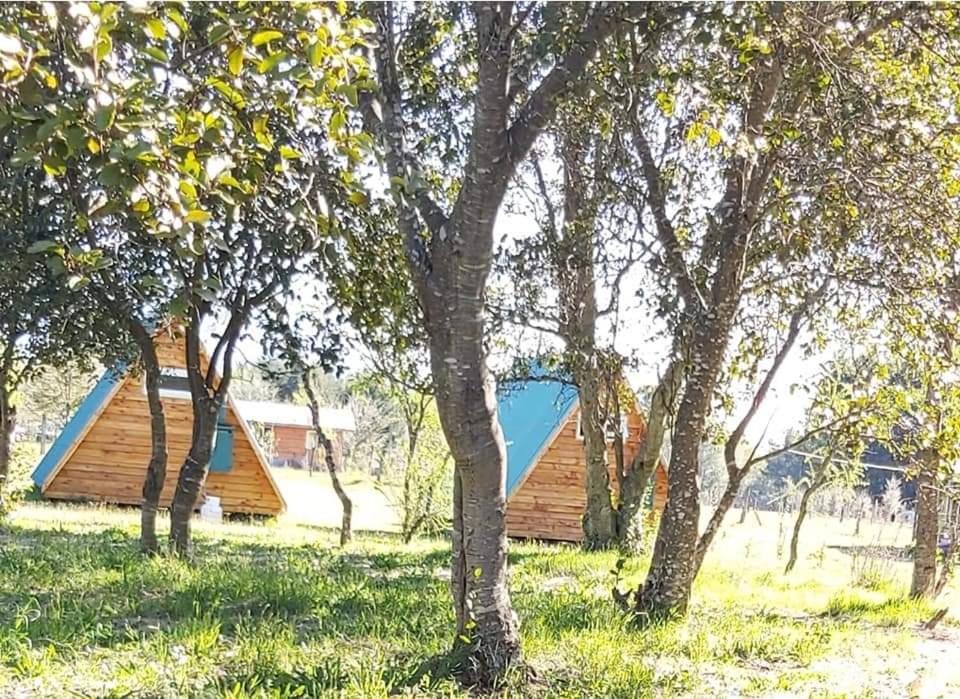 Casa de Campo A-frame